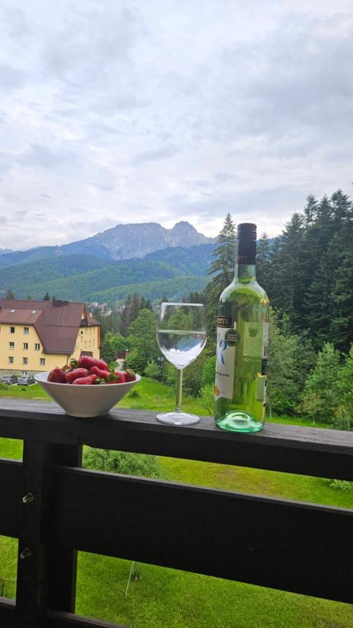 Apartament Klasyczny Z Widokiem Na Giewont Kościelisko Exterior foto